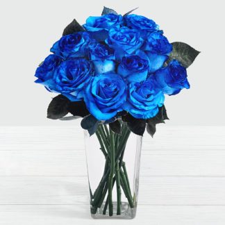 blue moon roses