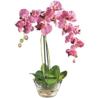 faux phalaenopsis orchid plant